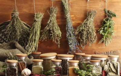 Comment conserver vos herbes aromatiques ?