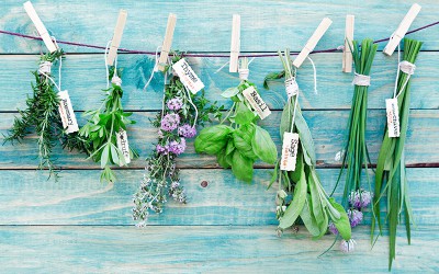 6 herbes aromatiques auxquelles vous n’auriez pas pensé !