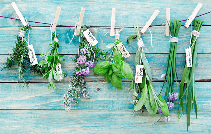6 herbes aromatiques auxquelles vous n’auriez pas pensé !