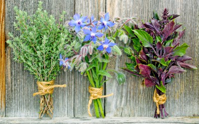 Nos conseils et astuces pour réaliser ses propres bouquets d’aromatiques