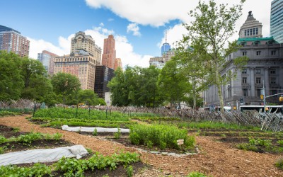 Les concepts les plus fous de l’agriculture urbaine !