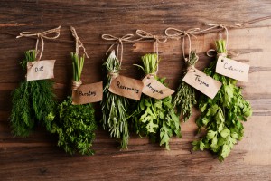 herbes-aromatiques-pendues