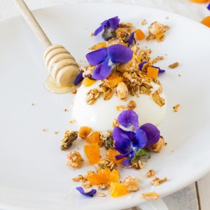 recette-panna-cotta-violette