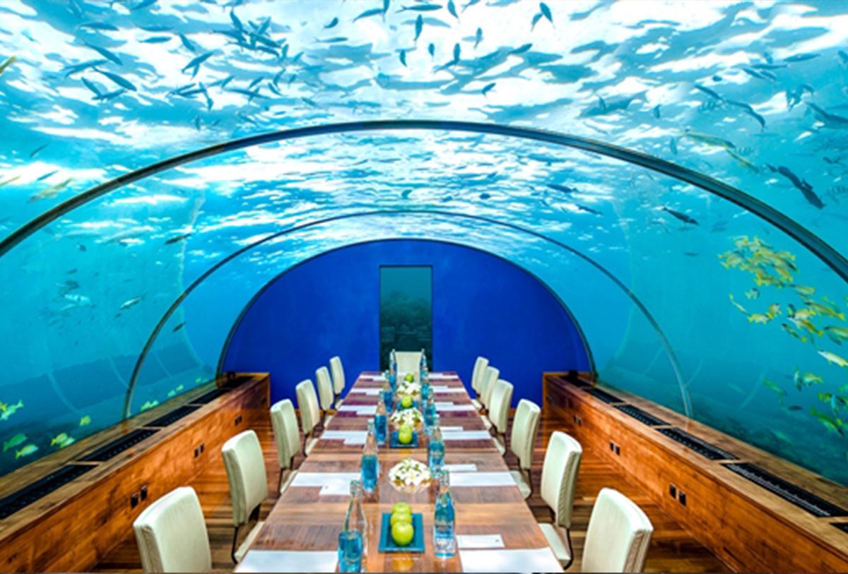 8 restaurants insolites à travers le monde ! veritable potager