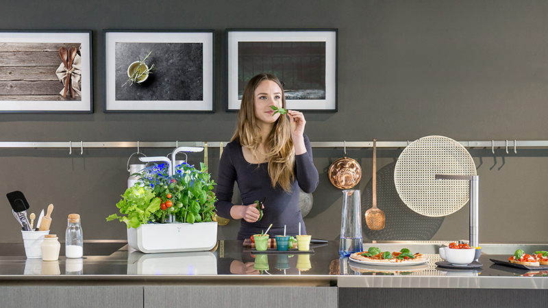 Votre jardin d'intérieur aux plantes aromatiques dans votre cuisine avec les Potagers Véritable®
