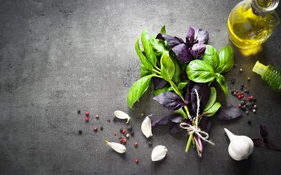 Découvrez 6 variétés de Basilic à conserver toute l’année !