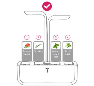 Disposition correcte des Lingots Tomate Cerise, Ciboulette, Basilic Grand Vert et Persil Frisé, dans le Potager Véritable