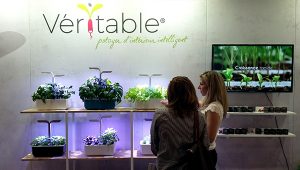 Stand Véritable à la Foire de Lyon 2017